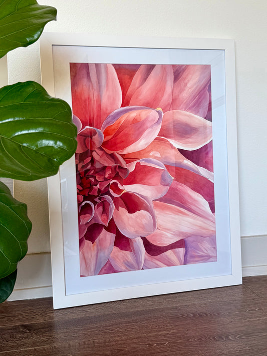 Blooming Peony