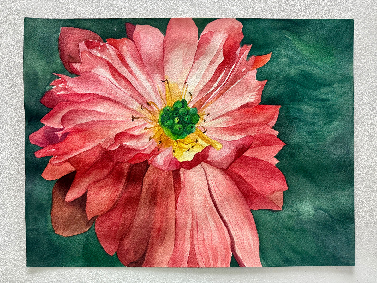 Dahlia
