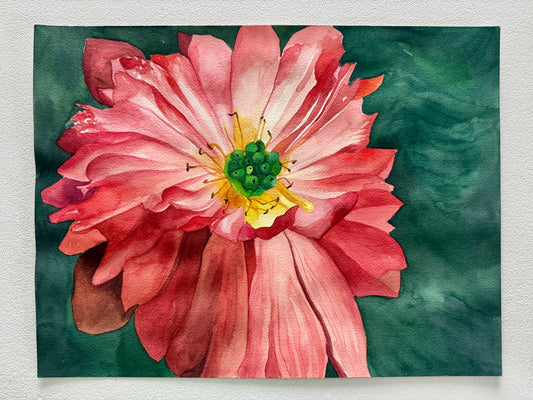 Dahlia