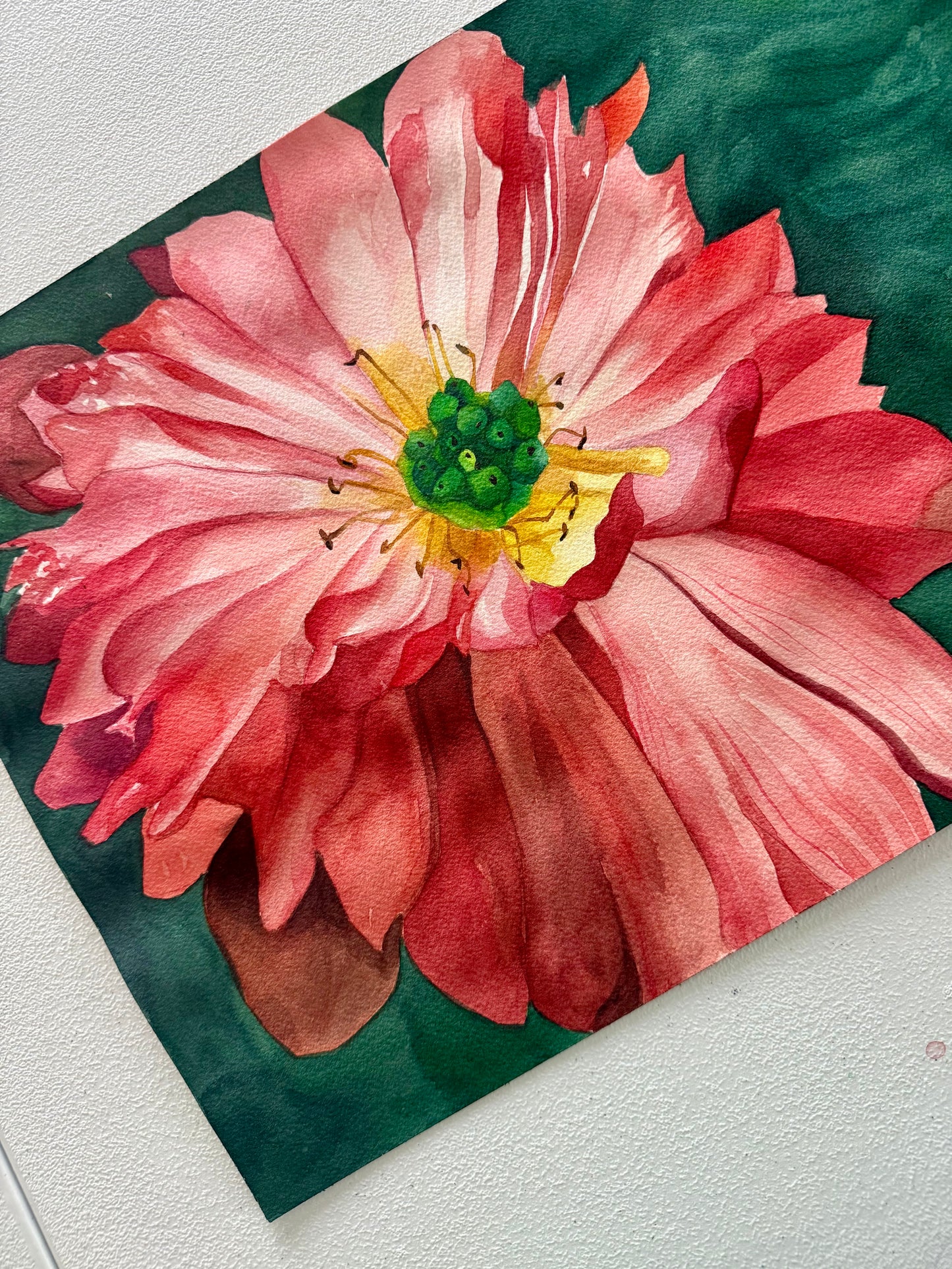 Dahlia